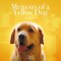 Memoirs Of A Yellow Dog cover