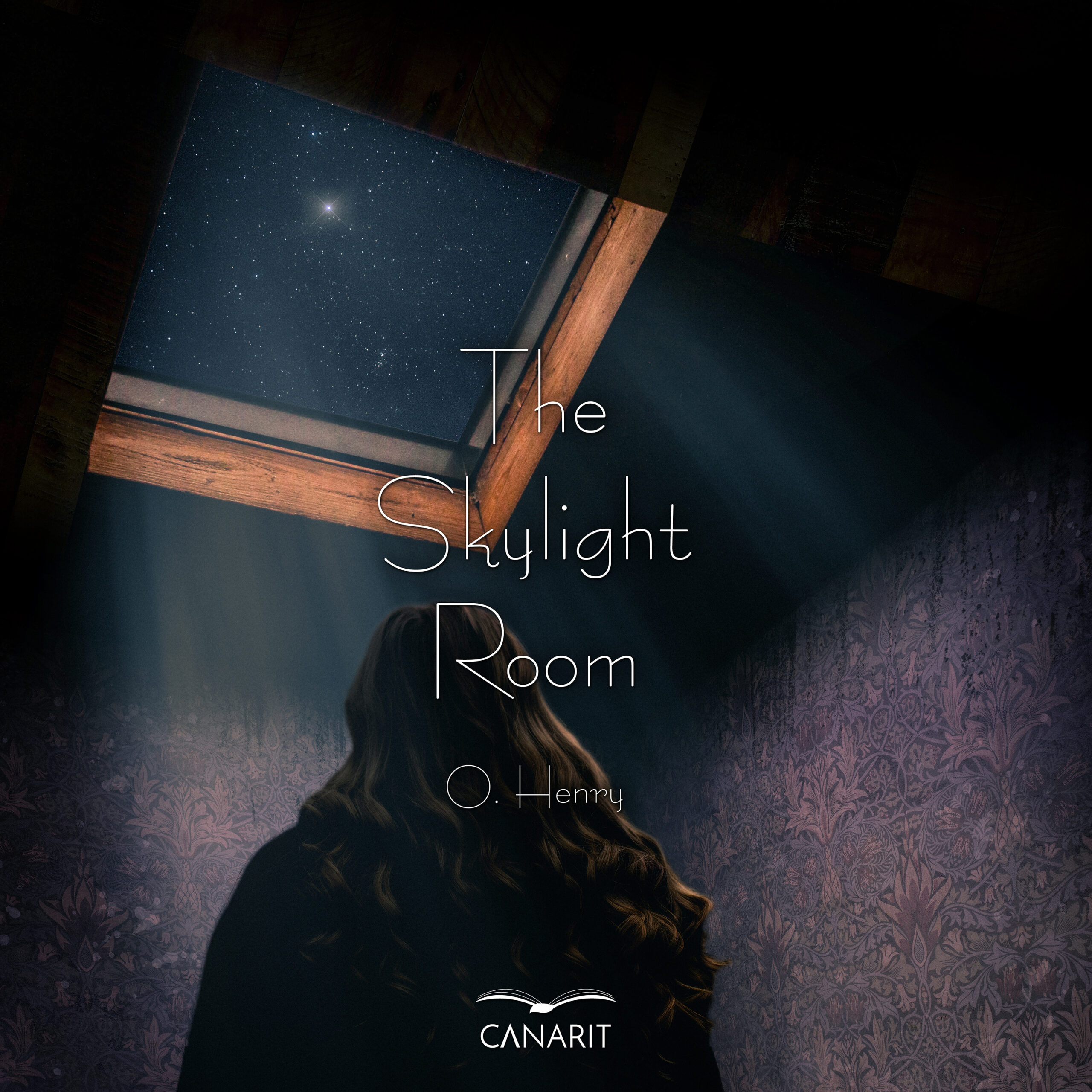 The Skylight Room Cover