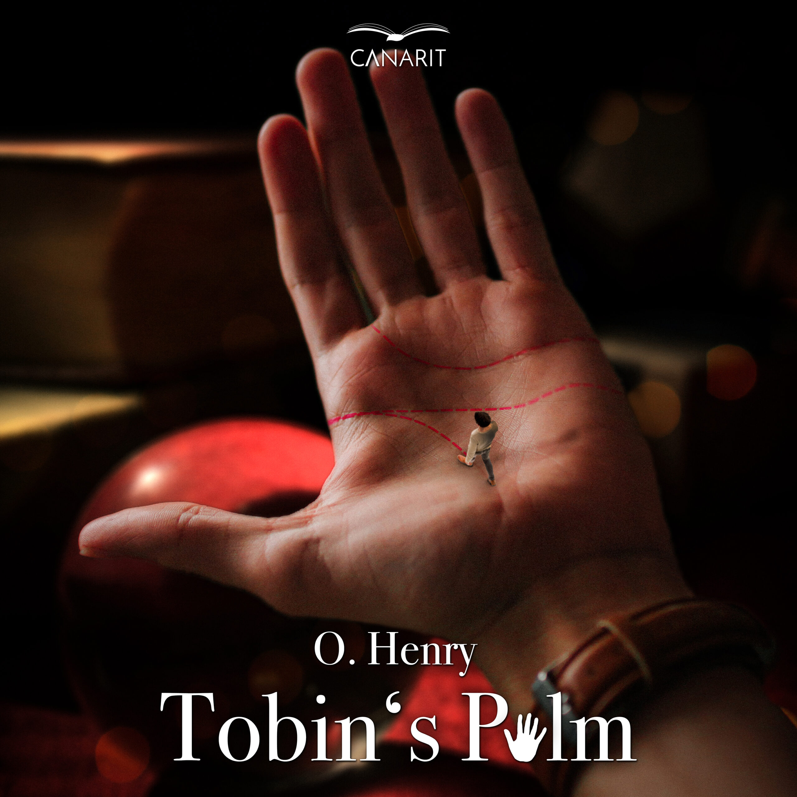 Tobin's Palm Cover